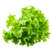 3D Rendering of a Green Lettuce on Transparent Background png