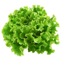 3D Rendering of a Green Lettuce on Transparent Background png