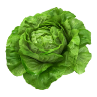 3D Rendering of a Green Lettuce on Transparent Background png
