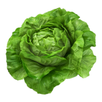 3D Rendering of a Green Lettuce on Transparent Background png