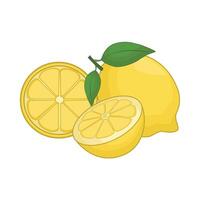 illustration of lemon vector