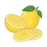 illustration of lemon vector