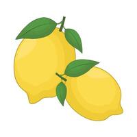 illustration of lemon vector