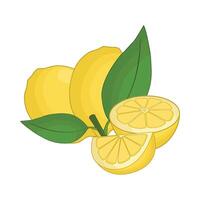 illustration of lemon vector