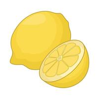 illustration of lemon vector