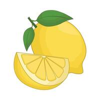 illustration of lemon vector