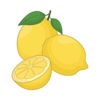 illustration of lemon vector