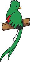 linda quetzal ilustración vector