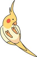 Cute Cockatiel illustration vector