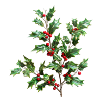 3D Rendering of a Christmas plant holly leaves with berries on Transparent Background png