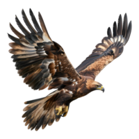 3d Rendern von ein golden Adler auf transparent Hintergrund png