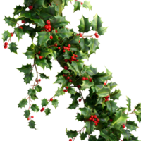 3D Rendering of a Christmas plant holly leaves with berries on Transparent Background png