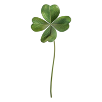 3D Rendering of a Clover Leaf on Transparent Background png