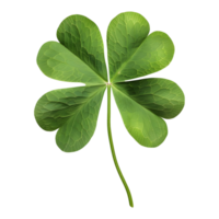 3D Rendering of a Clover Leaf on Transparent Background png