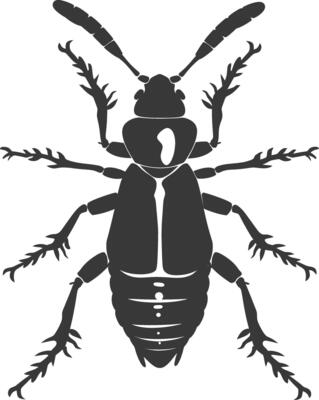 Silhouette termite animal full body black color only