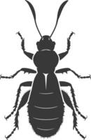 Silhouette termite animal full body black color only vector