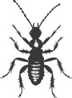 Silhouette termite animal full body black color only vector