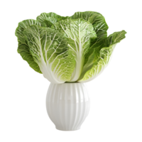 3D Rendering of a Cabbage in a Pot on Transparent Background png