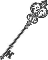 Silhouette key black color only vector