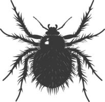 Silhouette lice animal black color only vector