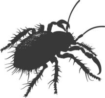 Silhouette lice animal black color only vector