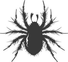 Silhouette lice animal black color only vector