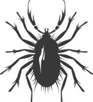 Silhouette lice animal black color only vector