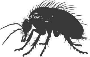 Silhouette lice animal black color only vector