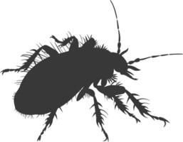 Silhouette lice animal black color only vector