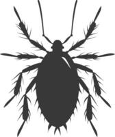 Silhouette lice animal black color only vector