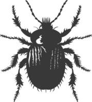 Silhouette lice animal black color only vector