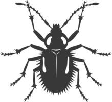 Silhouette lice animal black color only vector