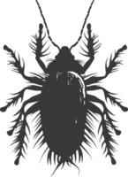 Silhouette lice animal black color only vector