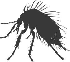 Silhouette lice animal black color only vector