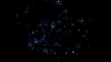 elettrico blu cerchi nel il mezzanotte cielo, un' celeste evento nel spazio video