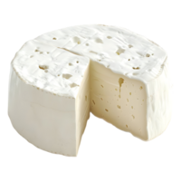 capra Camembert formaggio su trasparente sfondo png