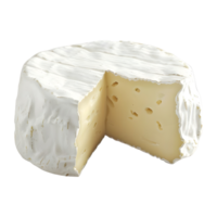 bode queijo Camembert queijo em transparente fundo png