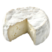 Ziege Camembert Käse auf transparent Hintergrund png