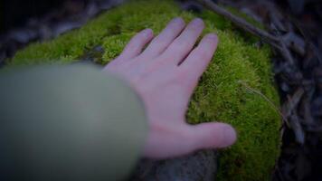 Gesture of touching a mossy rock with thumb and nail video