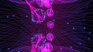 Dive into mesmerizing purple blue fractal patterns on a black background video