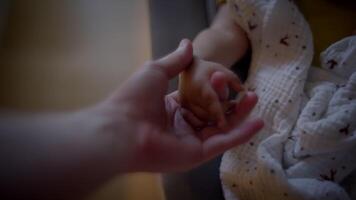 baby kind jongen Holding vaders hand- op zoek Bij vingers video