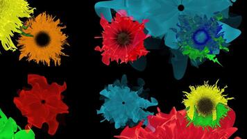 Vibrant flowers pop against the dark backdrop in this botanical art piece video