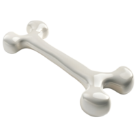 White Dog Bone on Transparent background png