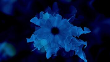 un eléctrico azul flor con un negro centrar brilla brillantemente en el oscuro video