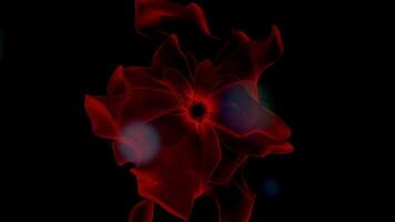 färgrik vibrerande blomma löv vinka rörelse grafisk bakgrund video