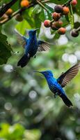 agraciado colibríes en vuelo, puntería para vibrante flor néctar en un maravilloso monitor foto