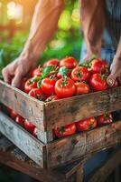 no identificado cocinero cosecha un variedad de Fresco vegetales en un pintoresco granja foto