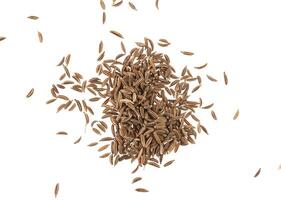 Cumin seeds or caraway isolated on white photo