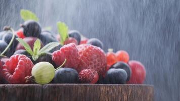 Mix of wild forest berries on black background with water mist photo