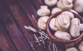 Champignons on dark wooden background with copy space. Photo filtered in vintage style